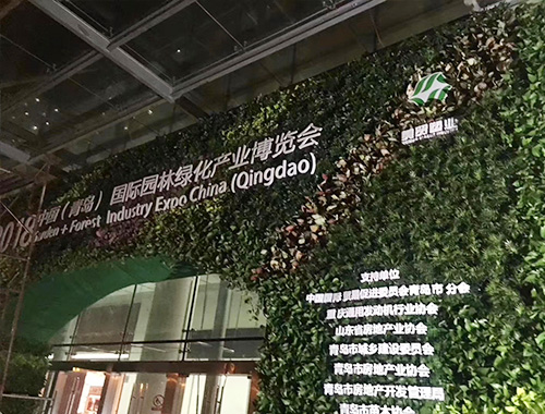 绿色4